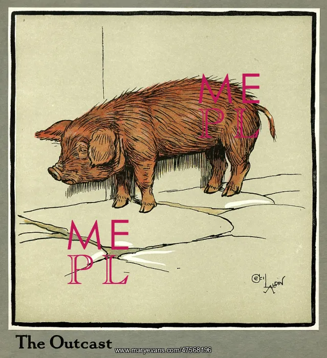 : Hungry Peter as a piglet looking for food : Hungry Peter as a piglet looking for food