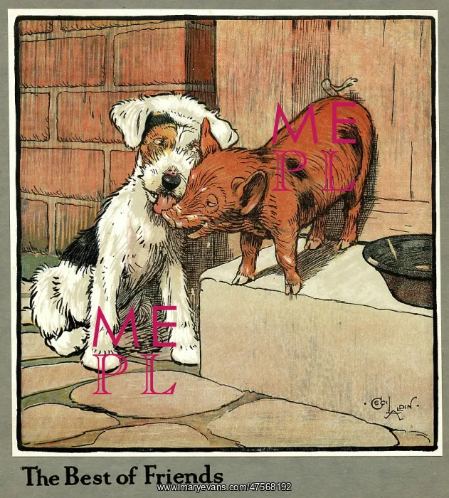 : Hungry Peter as a piglet makes friends with a dog : Hungry Peter as a piglet makes friends with a dog