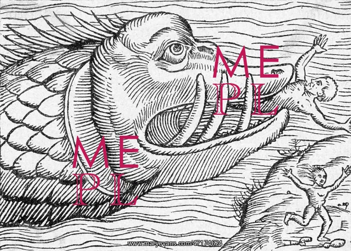 : HUNGRY SEA MONSTER : HUNGRY SEA MONSTER