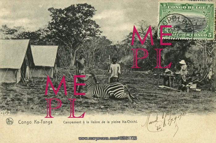 : Hunt camp - Congo - Zebra Hunting : Hunt camp - Congo - Zebra Hunting