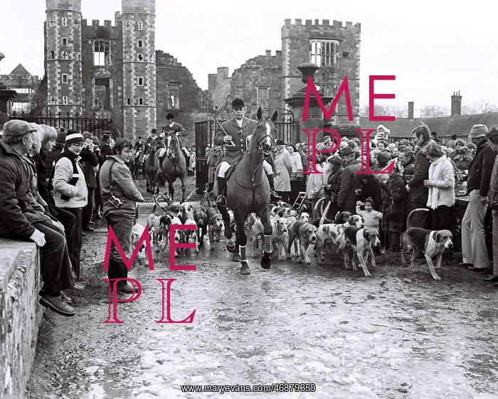  : Hunt at Cowdray