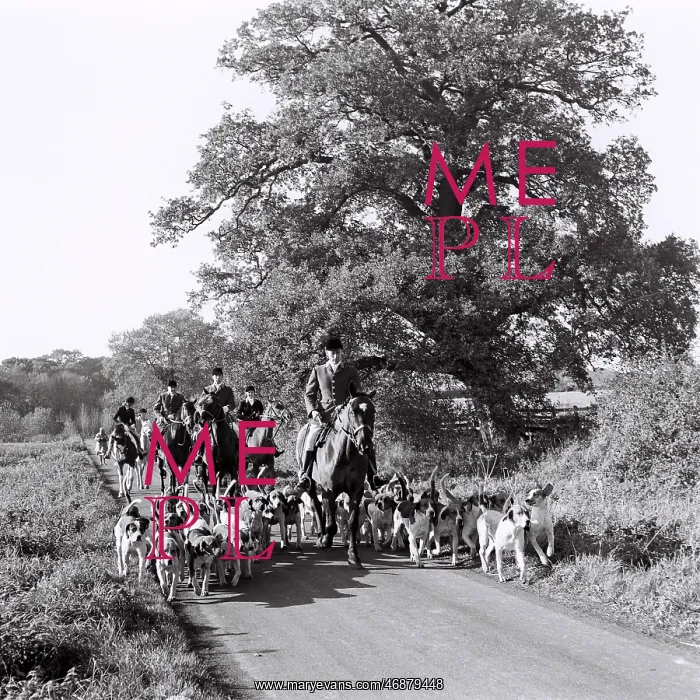  : Hunt at Cowdray
