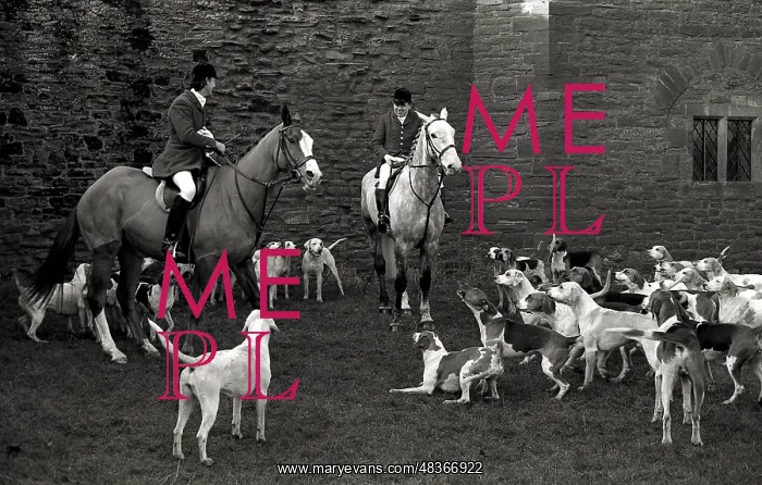 : A hunt in Herefordshire : A hunt in Herefordshire