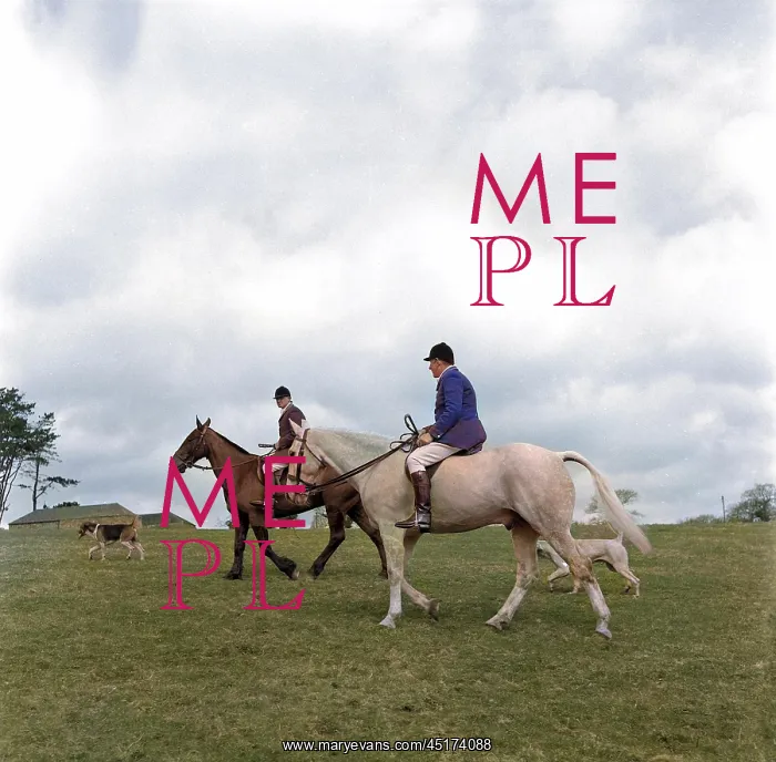 : Hunt members, horses and dogs in a field