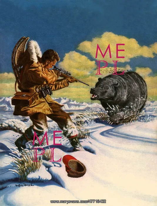  : Hunter Aims at Bear