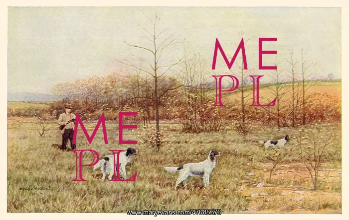  : Hunter and Dogs