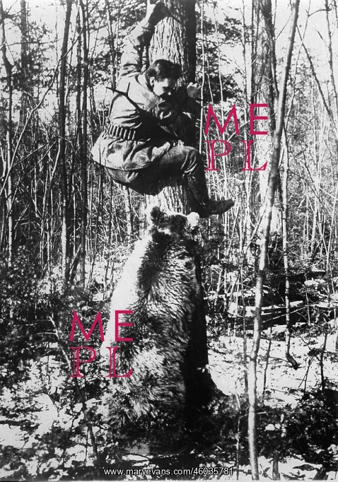 : Hunter being hunted : Hunter being hunted