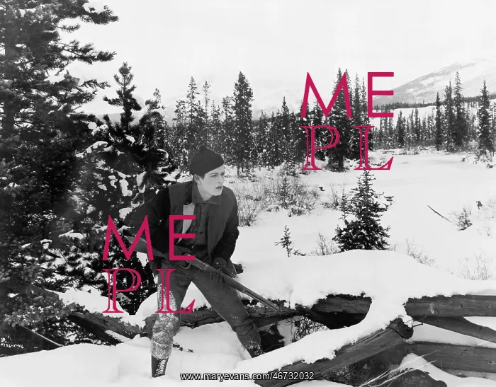 : Hunter with his rifle walking through snow covered : Hunter with his rifle walking through snow covered