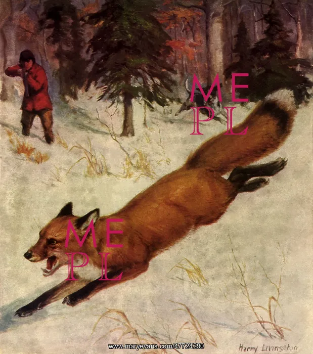  : Hunter shoots Fox