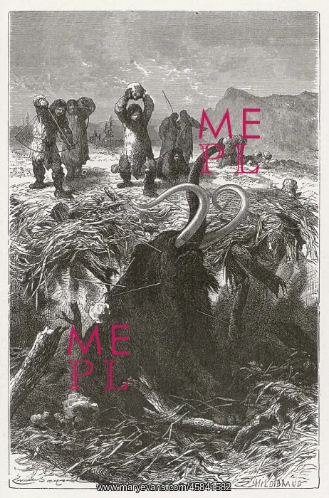 : Hunters trapping a mammoth in the Stone Age : Hunters trapping a mammoth in the Stone Age
