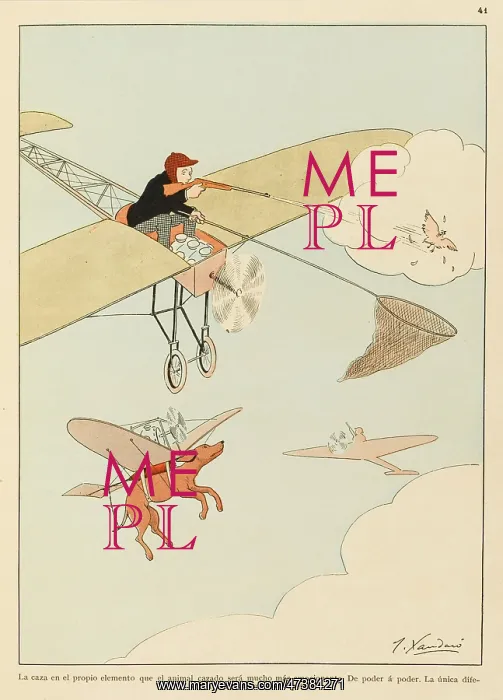 : Hunting from the Air : Hunting from the Air