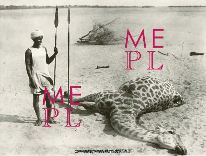 : Hunting assistant with Giraffe near the river Dinder : Hunting assistant with Giraffe near the river Dinder