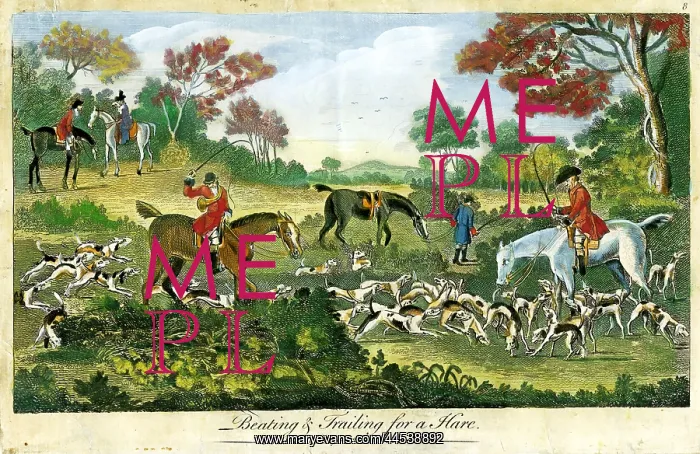  : Hunting - Beating and Tracking