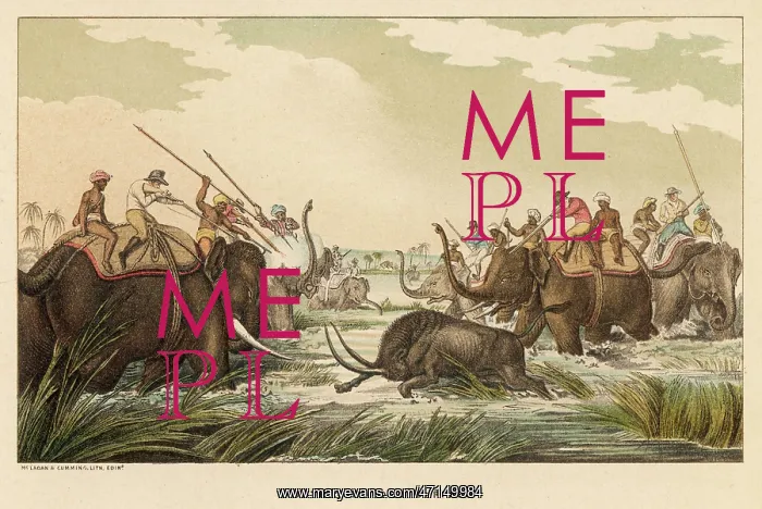 : Hunting Buffalo while Riding Elephants : Hunting Buffalo while Riding Elephants