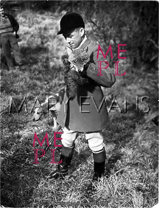: HUNTING - THE DEAD FOX : HUNTING - THE DEAD FOX