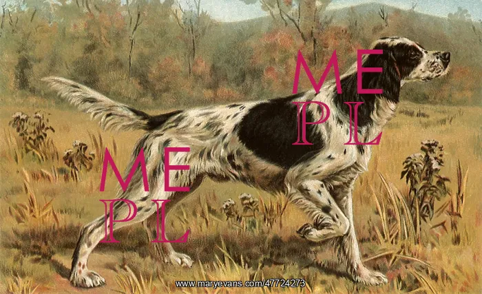  : Hunting Dog