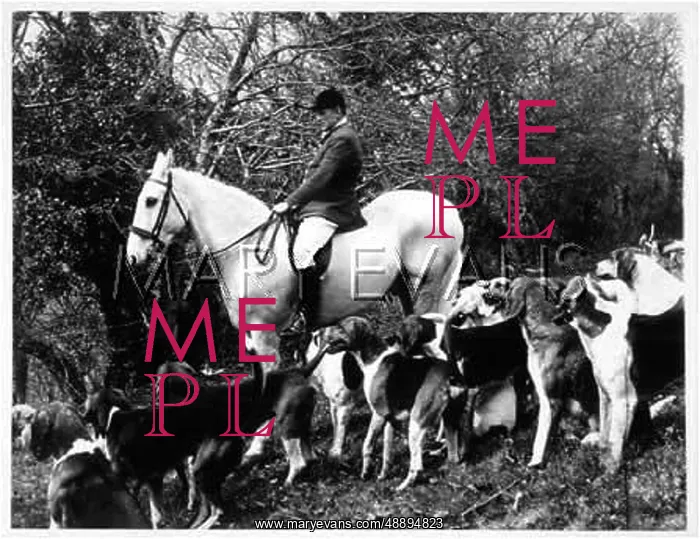  : HUNTING FOXs DEVON
