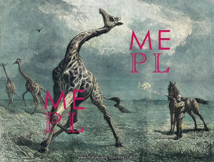 : Hunting giraffe : Hunting giraffe