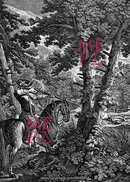 : hunting, horse, hunter, private on his artillery : hunting, horse, hunter, private on his artillery