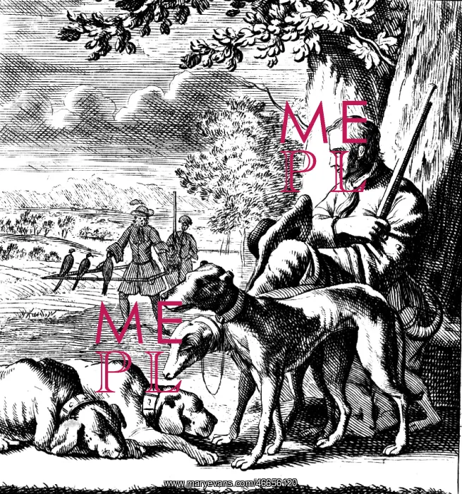  : hunting, hunter, copper engraving from a book