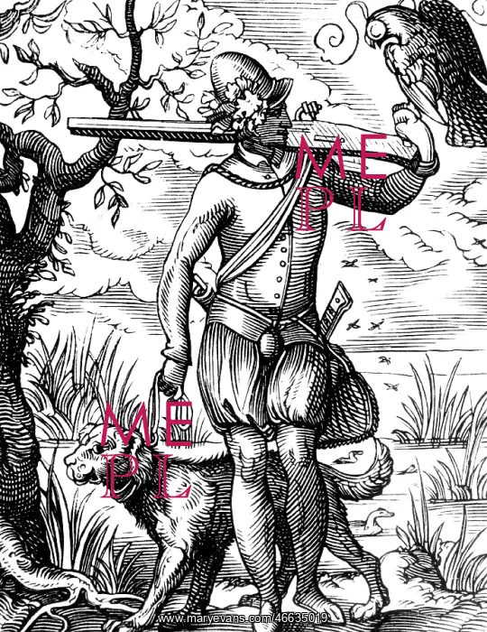 : hunting, hunter with rifle, hound and falcon : hunting, hunter with rifle, hound and falcon