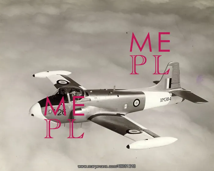 : Hunting Jet Provost T3 XM384 : Hunting Jet Provost T3 XM384