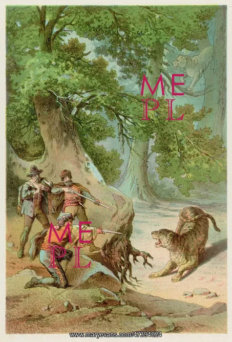  : HUNTING LEOPARDS