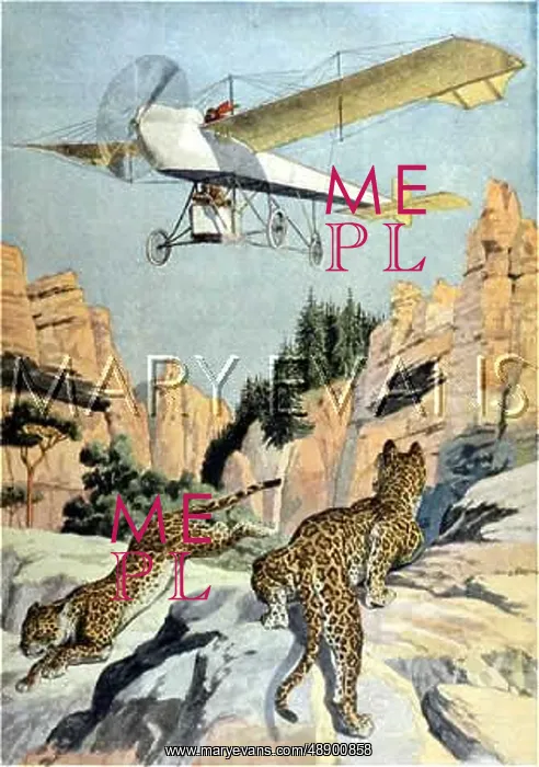 : HUNTING PANTHERS FROMAIR : HUNTING PANTHERS FROMAIR