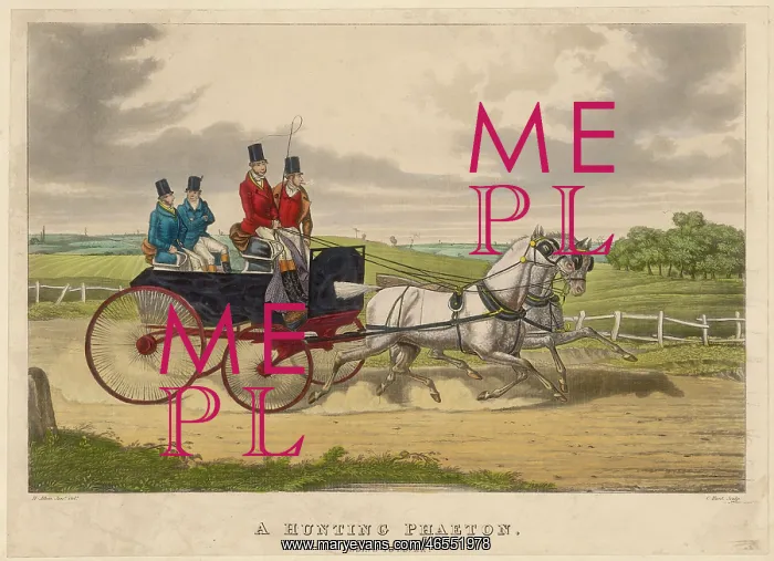 : A HUNTING PHAETON : A HUNTING PHAETON