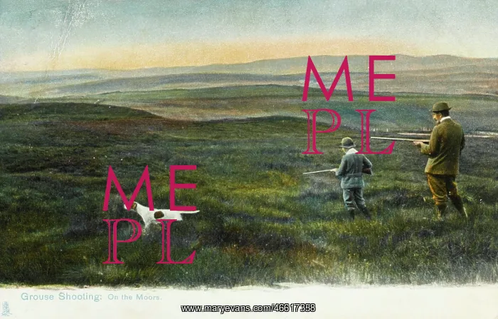 : Hunting Series (5 of 5) - Grouse Shooting : Hunting Series (5 of 5) - Grouse Shooting