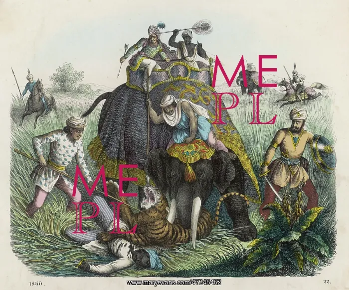 : HUNTING / TIGER (GERMAN) : HUNTING / TIGER (GERMAN)