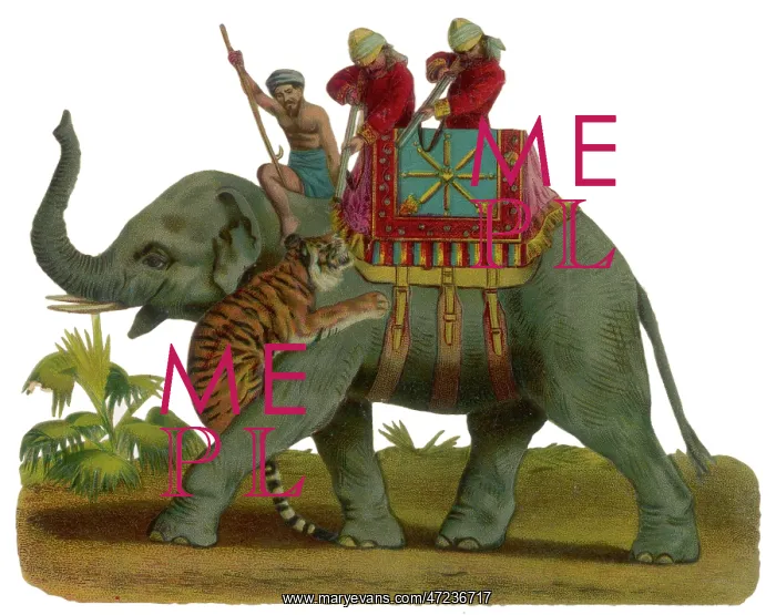  : Hunting Tiger (Victorian scrap)