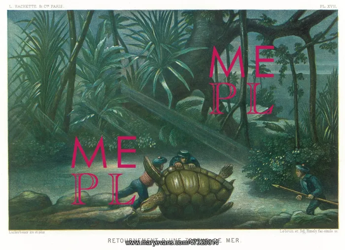 : HUNTING TURTLES / 1865 : HUNTING TURTLES / 1865