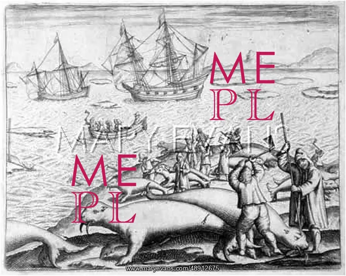  : HUNTING WALRUS C1600
