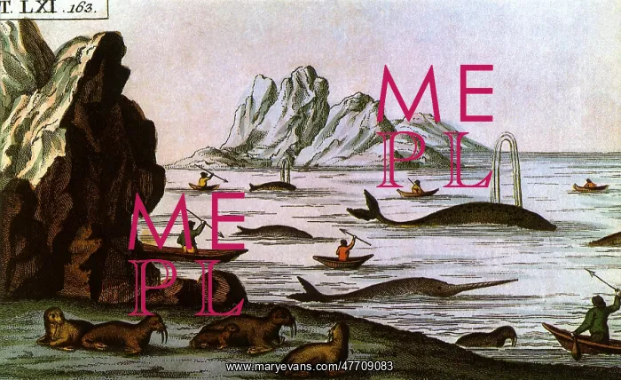  : Hunting Whales