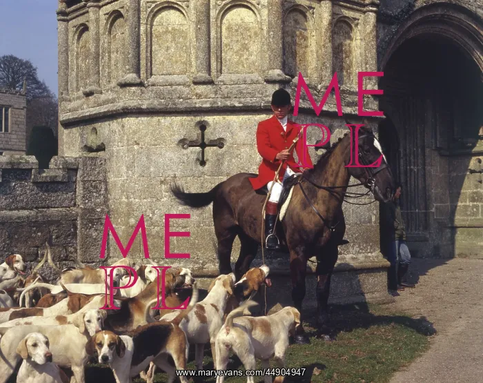 : Huntsman and foxhounds, Bodmin, Cornwall : Huntsman and foxhounds, Bodmin, Cornwall