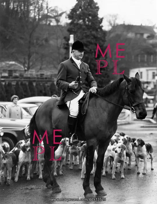 : Huntsman of the Lamerton Foxhounds, Tavistock, Devon : Huntsman of the Lamerton Foxhounds, Tavistock, Devon
