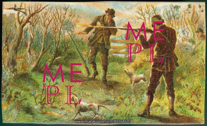 : HUNTSMAN SHOT NOT BIRD : HUNTSMAN SHOT NOT BIRD