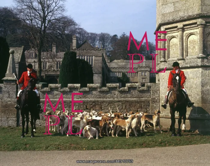 : Huntsmen and foxhounds, Bodmin, Cornwall : Huntsmen and foxhounds, Bodmin, Cornwall