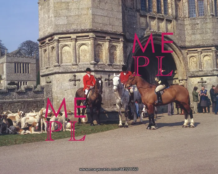 : Huntsmen and foxhounds, Bodmin, Cornwall : Huntsmen and foxhounds, Bodmin, Cornwall
