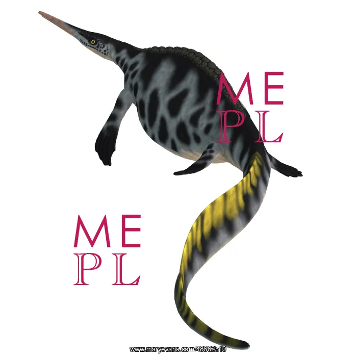 : Hupehsuchus reptile, rear view : Hupehsuchus reptile, rear view