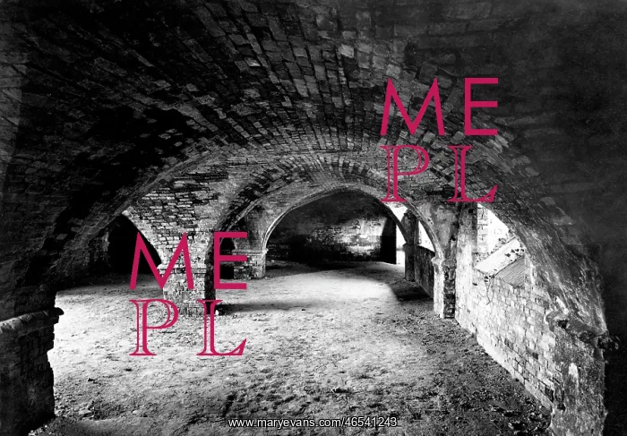  : Hurley, Vaults of Lady Place 1890