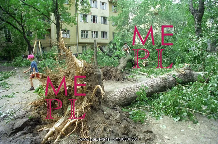 : Hurricane aftermath in Moscow, 1998 : Hurricane aftermath in Moscow, 1998