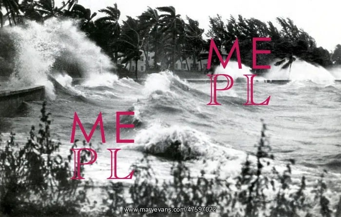 : Hurricane Waves : Hurricane Waves