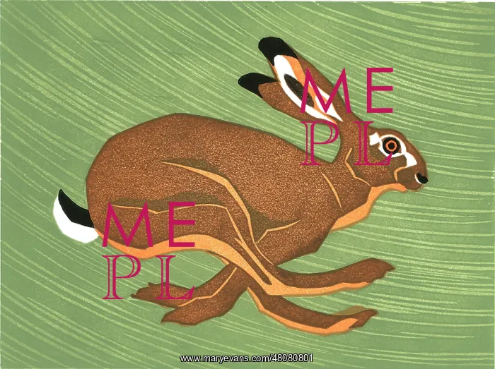 : Hurry Hare - Linocut print by Robert Gillmor : Hurry Hare - Linocut print by Robert Gillmor