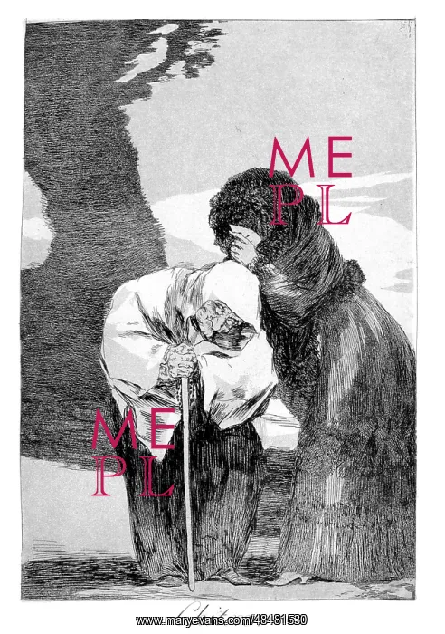 : Hush Artist: Francisco Goya : Hush Artist: Francisco Goya