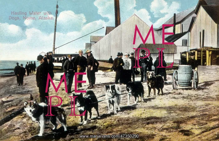  : HUSKY SLEIGH AT NOME