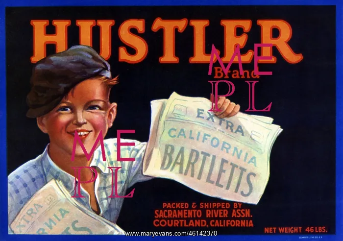  : Hustler Brand advert