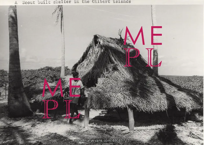 : Hut built by scouts, Gilbert Islands, Pacific : Hut built by scouts, Gilbert Islands, Pacific