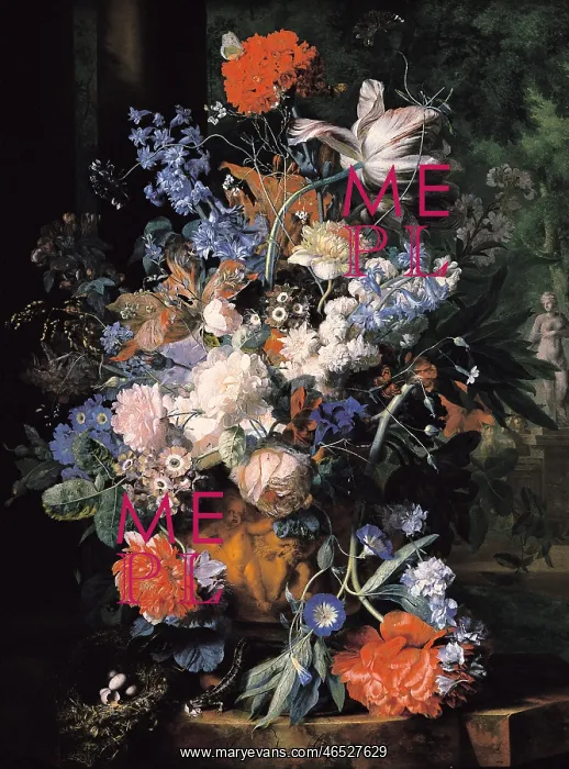 : HUYSUM, Jan van (1682-1749) : HUYSUM, Jan van (1682-1749)